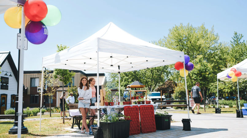 Photographie de stand de plantes en plein air